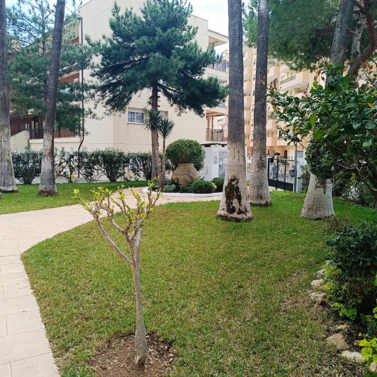 Apartamento Castillo de Peñíscola - Apartamento de 2 dormitorios - 19