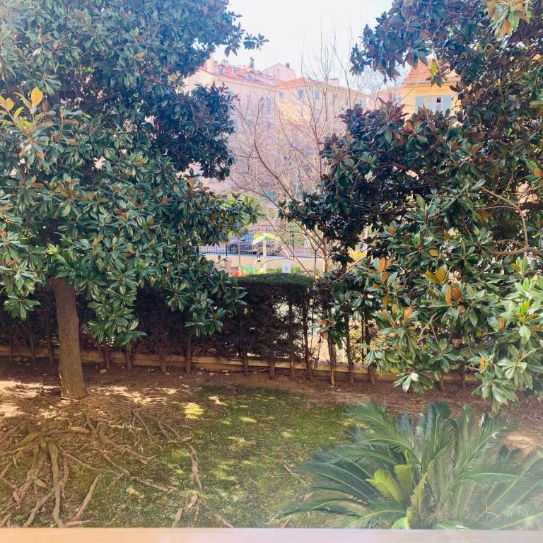 Butterfly-Palais des Festival-center-quiet-AC-Wi Fi parking - Appartement 1 Chambre - 20