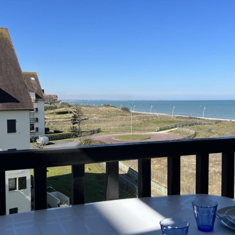 Appartement 2 pièces avec balcon et accès direct plage à Cabourg, animaux admis - FR-1-487-352 - Appartamento - 4