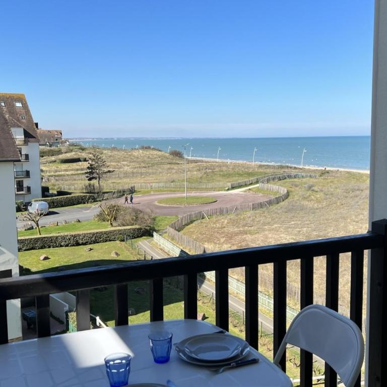 Appartement 2 pièces avec balcon et accès direct plage à Cabourg, animaux admis - FR-1-487-352 - Appartamento - 9