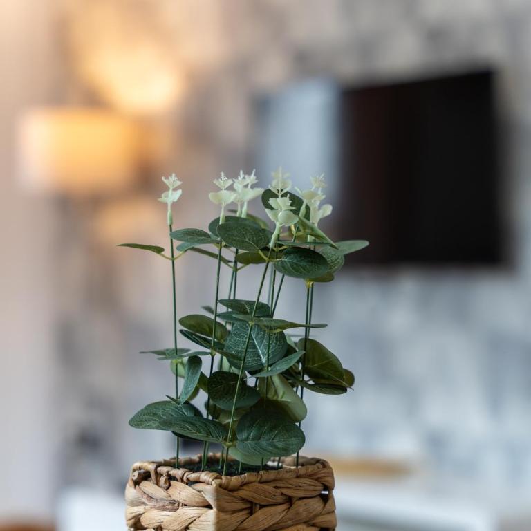 Idila Lux - One-Bedroom Apartment - 26