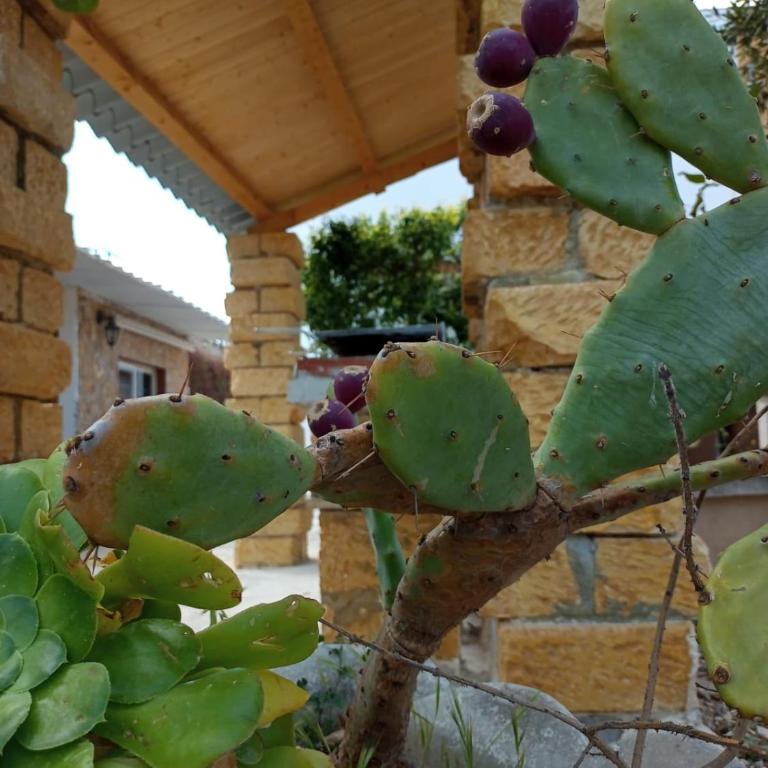 Terre di mare near the sandy beach with pool, parking & wifi - Casa con 5 Camere da Letto - 68