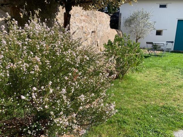 Chambre d'Hôtes Les Petits Oiseaux - Chambre Double - Vue sur Jardin - 15