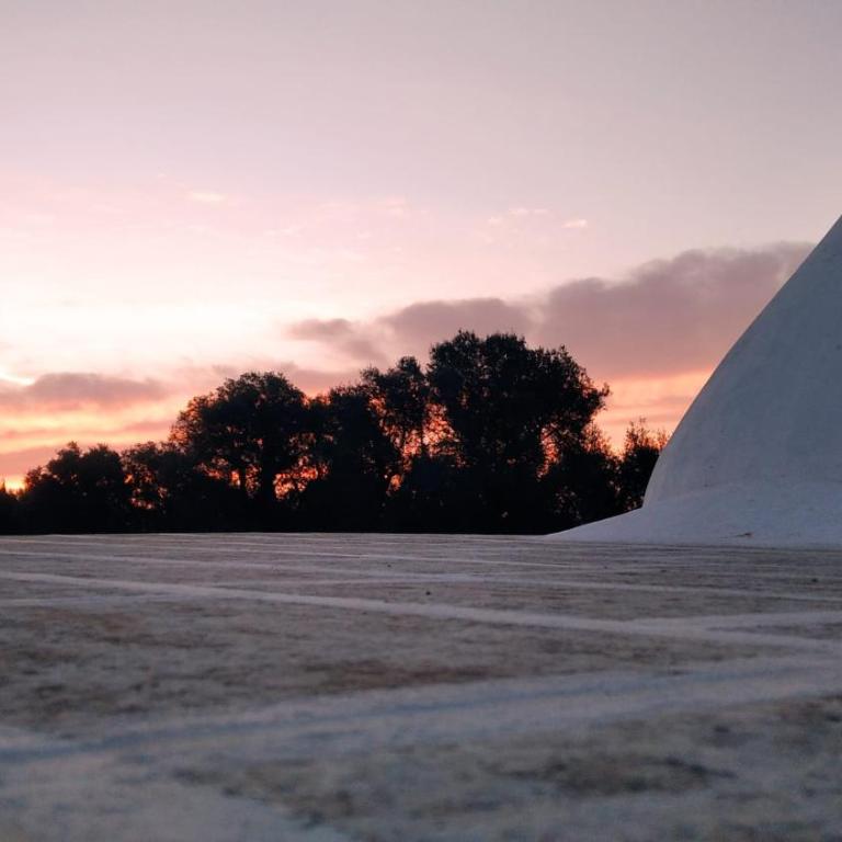 Trullo Bianco Ulivo - Two-Bedroom House - 37