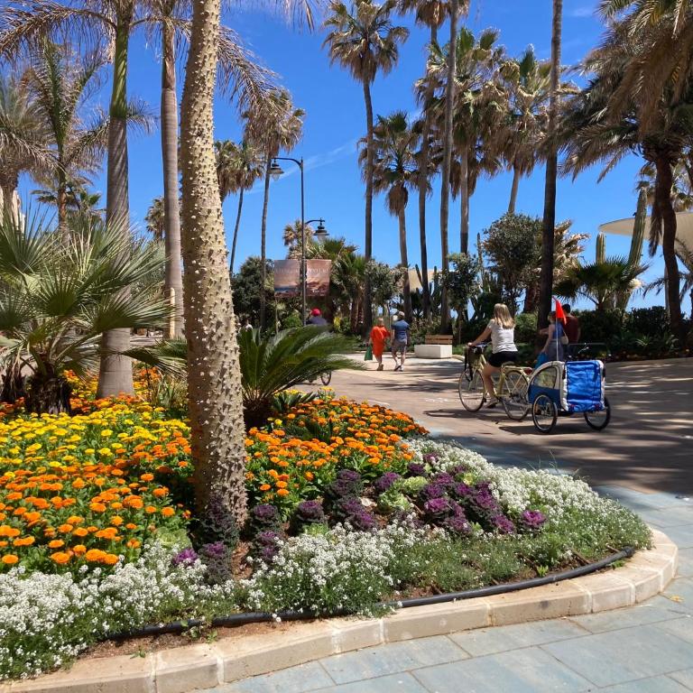 Bellavista Costa del Sol - Apartamento con vistas al mar - 28