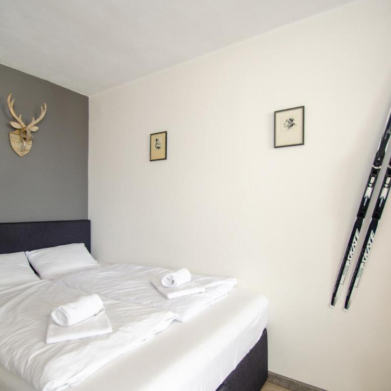 Apartment Dreamski Zell am See town, near lake - Deluxe Studio - 7