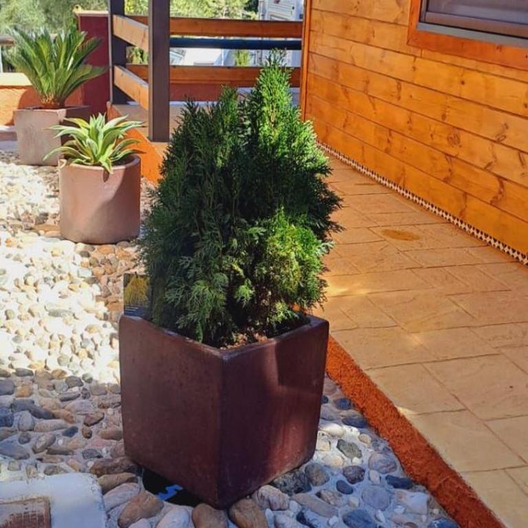 Complejo Turistico El Sur - Casa con 1 dormitorio - 4