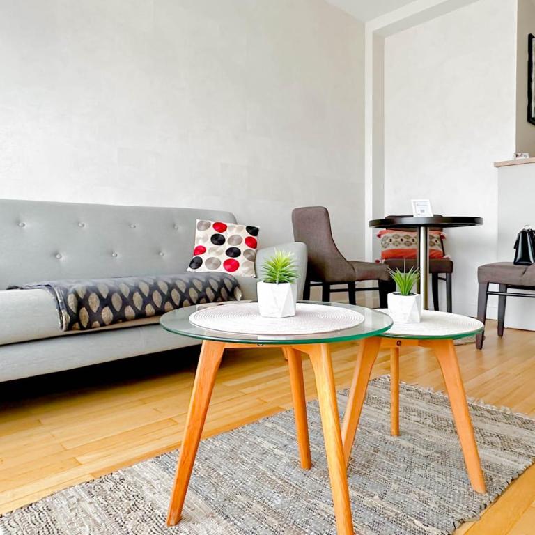 Central Park au centre ville - Appartement Deluxe - 6