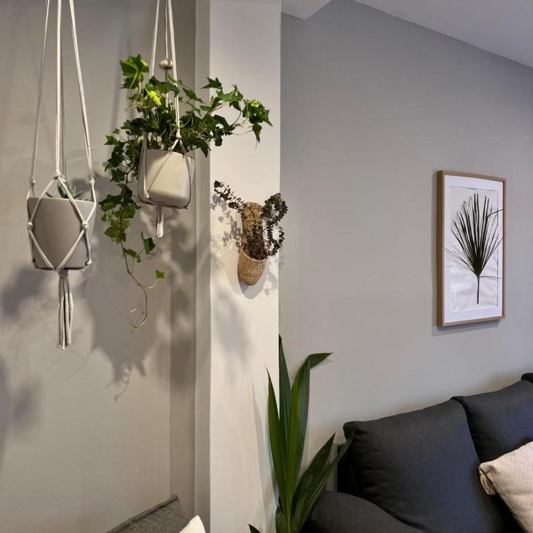 Apartamento A Tixola ,Casco Histórico - Two-Bedroom Apartment - 5