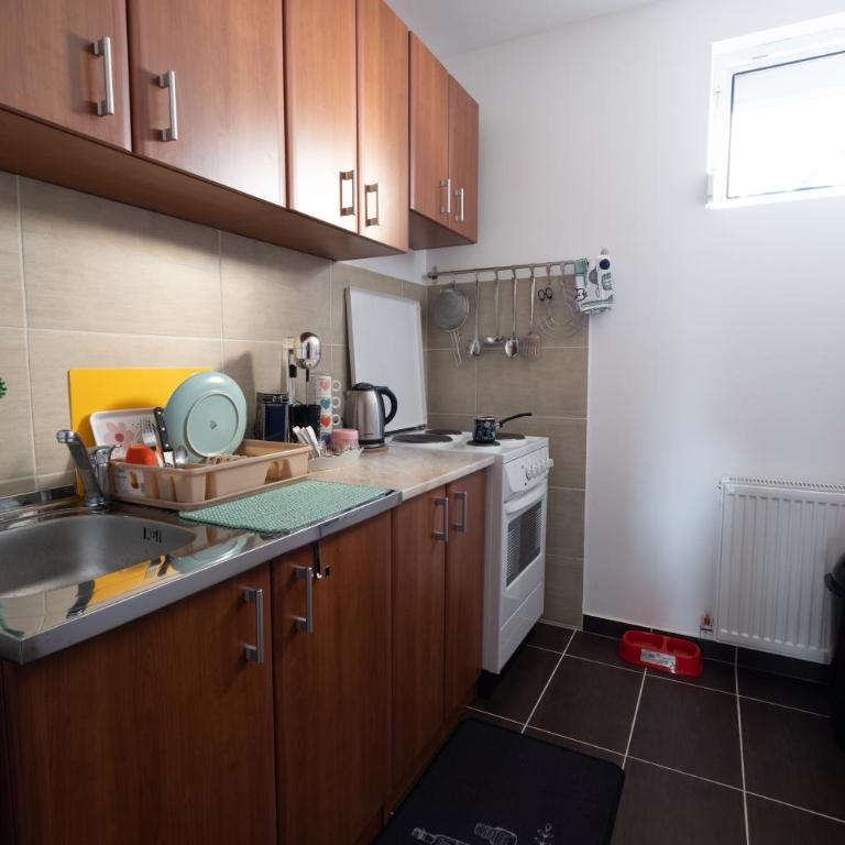 Sunčani Kutak Vrnjačka Banja - Apartman sa 1 Spavaćom Sobom - 12