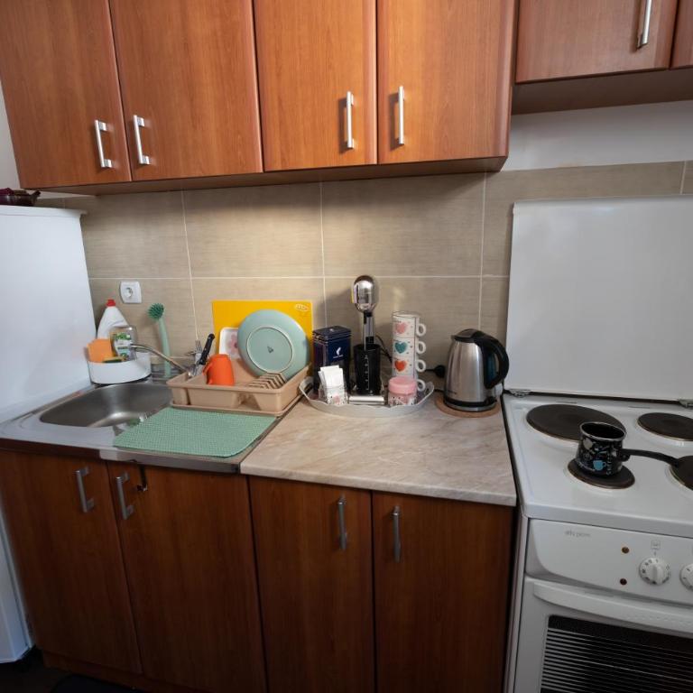 Sunčani Kutak Vrnjačka Banja - Apartman sa 1 Spavaćom Sobom - 21