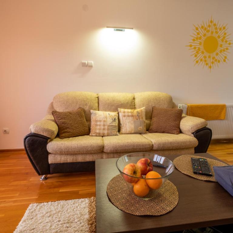 Sunčani Kutak Vrnjačka Banja - Apartman sa 1 Spavaćom Sobom - 22