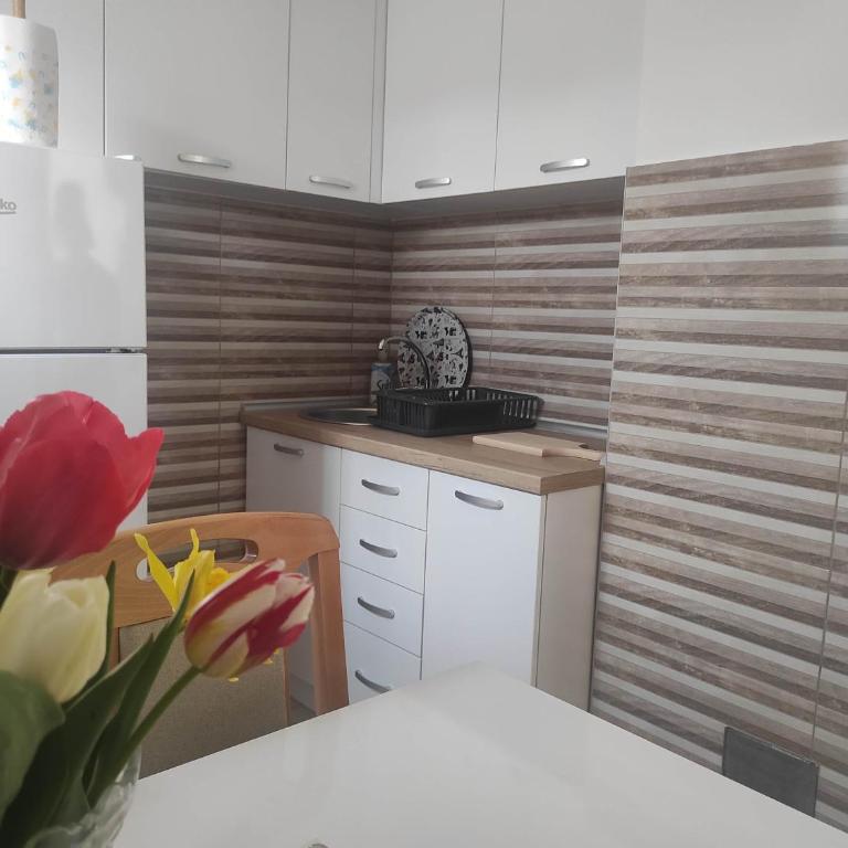 Andrea Airport Apartments - Apartman sa 2 Spavaće Sobe - 9