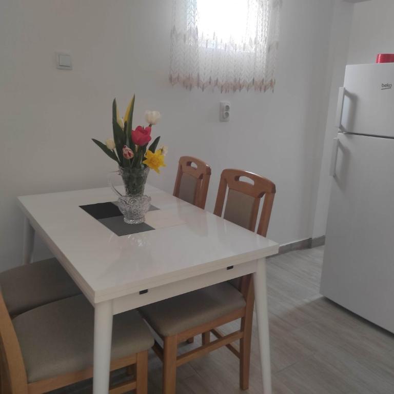 Andrea Airport Apartments - Apartman sa 2 Spavaće Sobe - 8