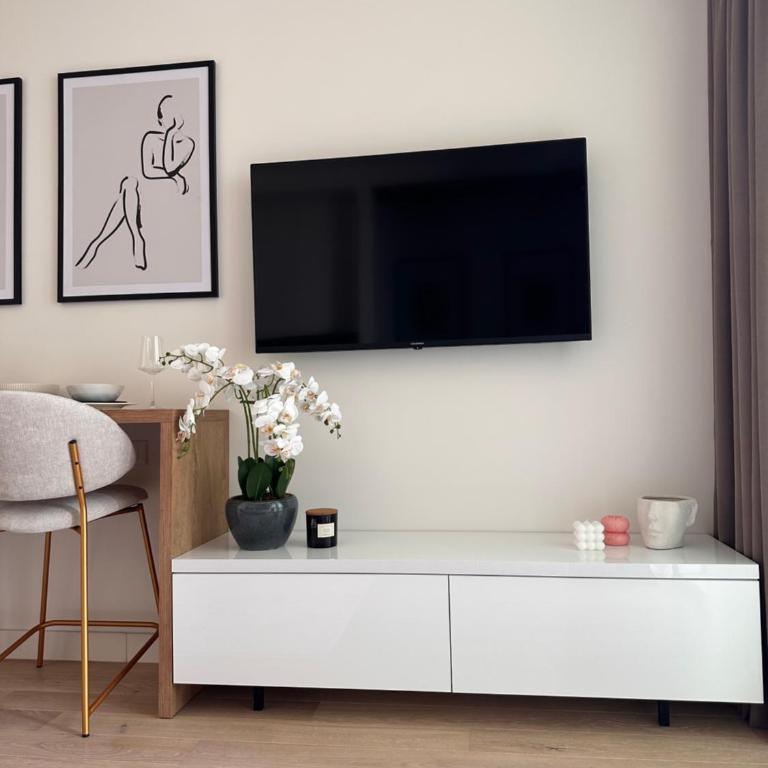 Apartman Grand BW - Apartman sa 1 Spavaćom Sobom - 8