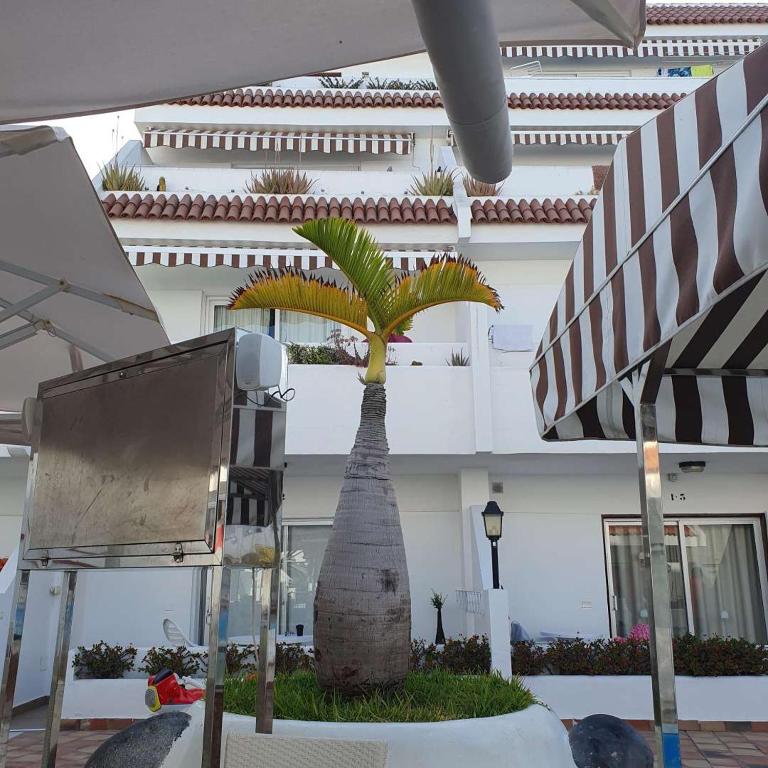 Penthouse ar okeana skatu - Apartamento de 2 dormitorios - 59
