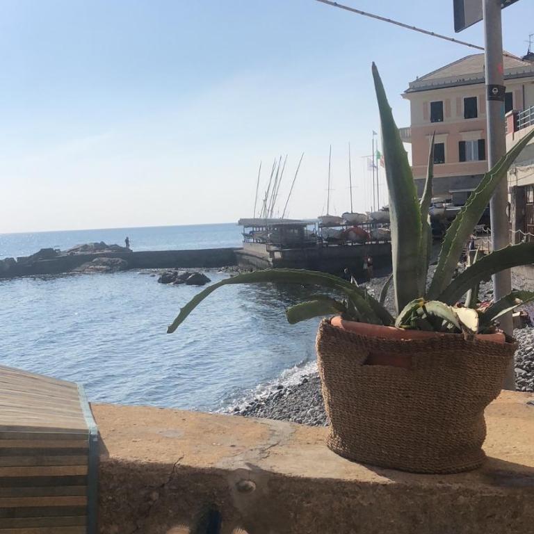 La Bruna sul mare - Appartamento con 1 Camera da Letto - 29