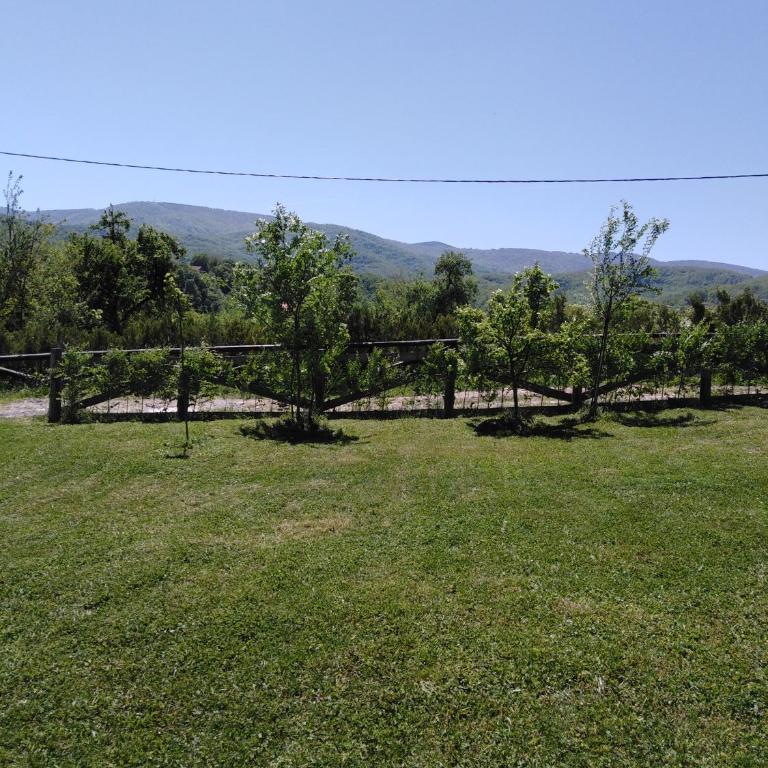 Lodge Morava 2 - Apartman sa 2 Spavaće Sobe - 19