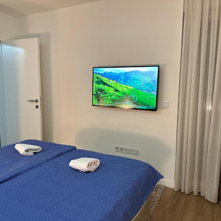 Plavo nebo - Apartman sa 2 Spavaće Sobe - 15