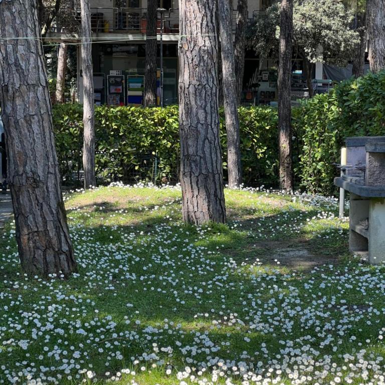 Villa Azzurro Blu - Villa - 16