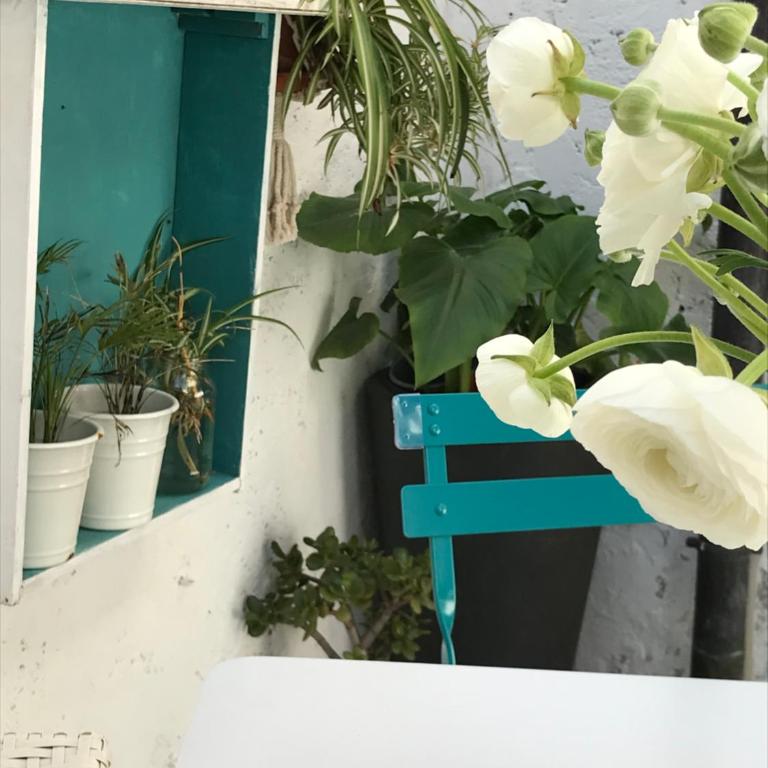 Casa di Luca - Three-Bedroom House - 34