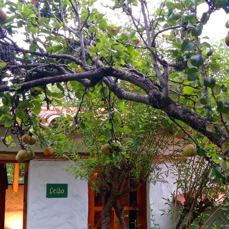 La Selenita - Standard Queen Room - 9