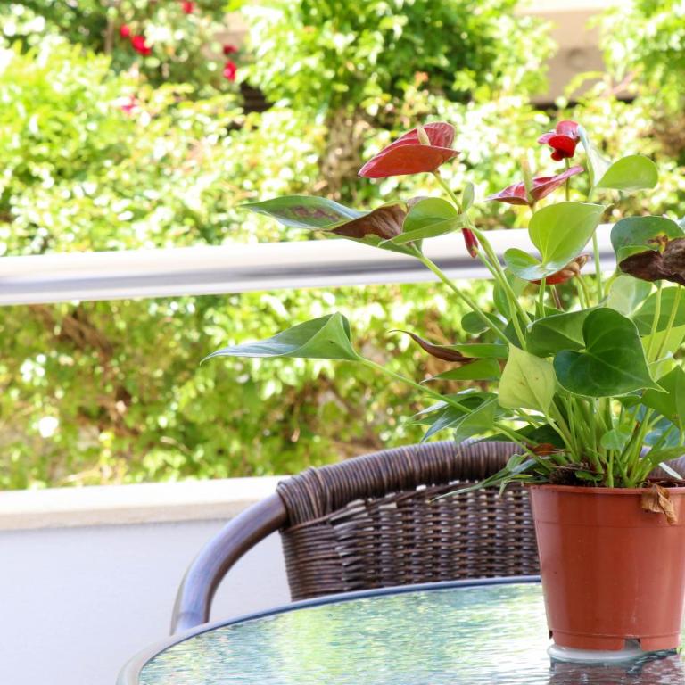 B&B Lovac Hasa - Deluks Apartman - 1