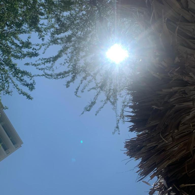 Apartamento Santa Marta Bello Horizonte - Pozos Colorados - Habitación Triple Deluxe - 9