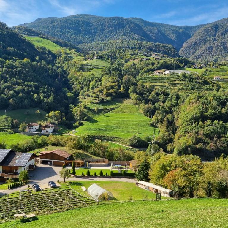 Ferienwohnungen Koflerhof - Appartamento - Piano Terra - 2