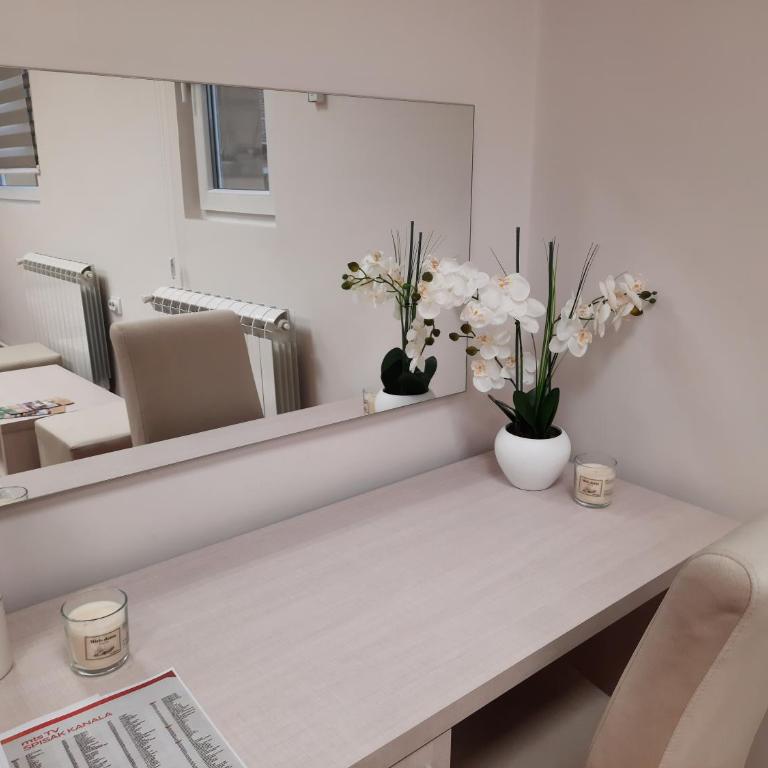 Aleksa 1 - Apartman sa 1 Spavaćom Sobom - 9