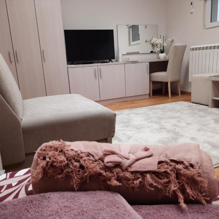 Aleksa 1 - Apartman sa 1 Spavaćom Sobom - 10