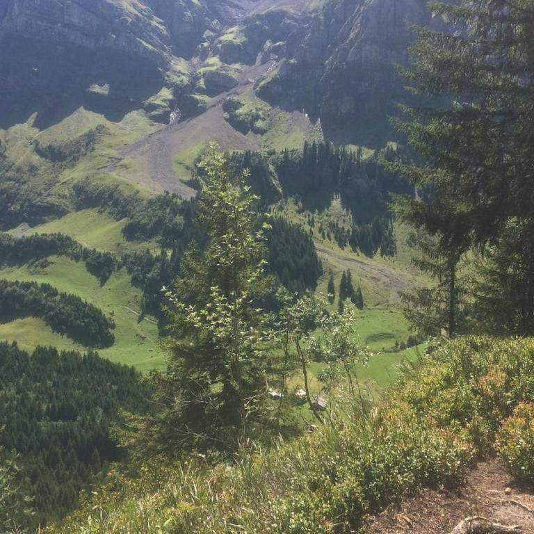 Val D’Illiez mountain apartment. - Apartment mit Blick auf die Berge - 20