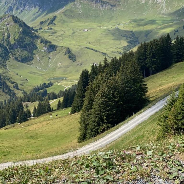 Val D’Illiez mountain apartment. - Apartment mit Blick auf die Berge - 21