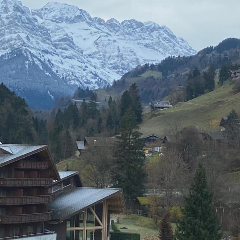 Val D’Illiez mountain apartment. - Apartment mit Blick auf die Berge - 4
