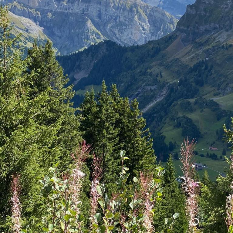 Val D’Illiez mountain apartment. - Apartment mit Blick auf die Berge - 24