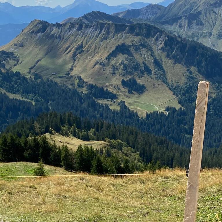 Val D’Illiez mountain apartment. - Apartment mit Blick auf die Berge - 26