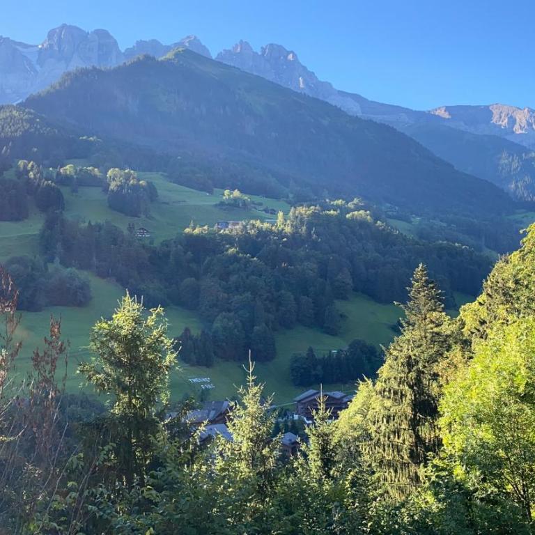 Val D’Illiez mountain apartment. - Apartment mit Blick auf die Berge - 29