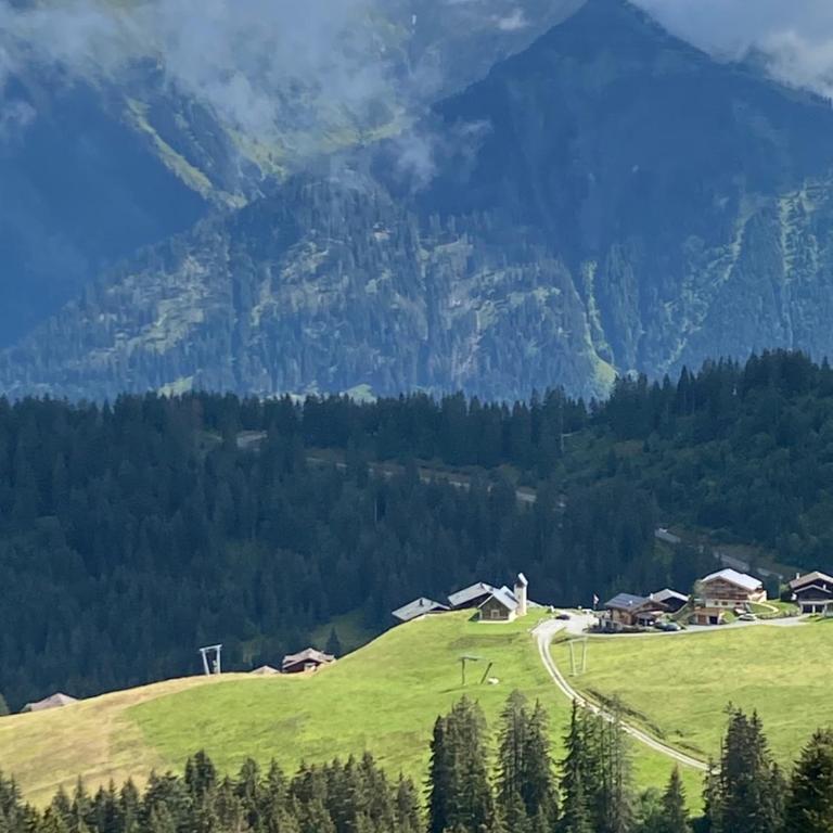 Val D’Illiez mountain apartment. - Apartment mit Blick auf die Berge - 30