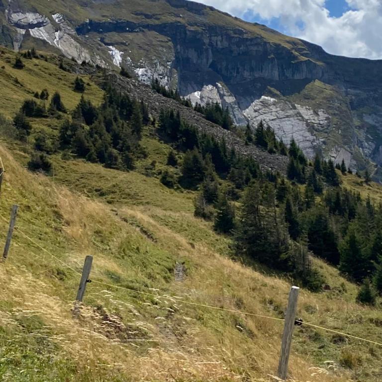 Val D’Illiez mountain apartment. - Apartment mit Blick auf die Berge - 31