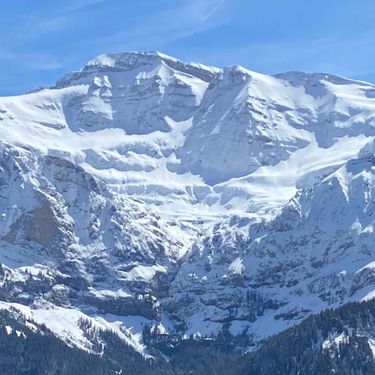 Val D’Illiez mountain apartment. - Apartment mit Blick auf die Berge - 42