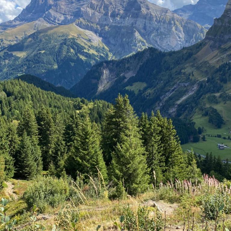 Val D’Illiez mountain apartment. - Apartment mit Blick auf die Berge - 33