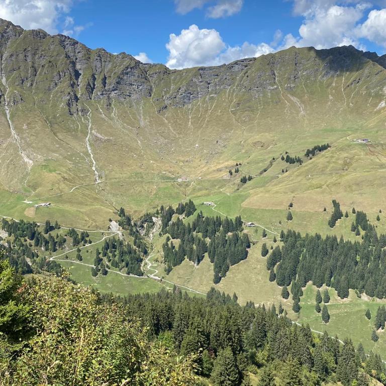 Val D’Illiez mountain apartment. - Apartment mit Blick auf die Berge - 34
