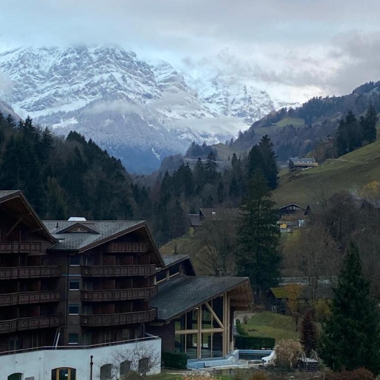 Val D’Illiez mountain apartment. - Apartment mit Blick auf die Berge - 5