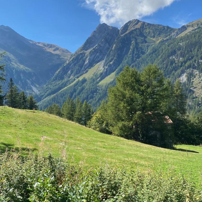 Val D’Illiez mountain apartment. - Apartment mit Blick auf die Berge - 36
