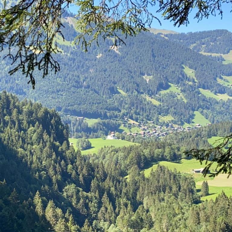 Val D’Illiez mountain apartment. - Apartment mit Blick auf die Berge - 37