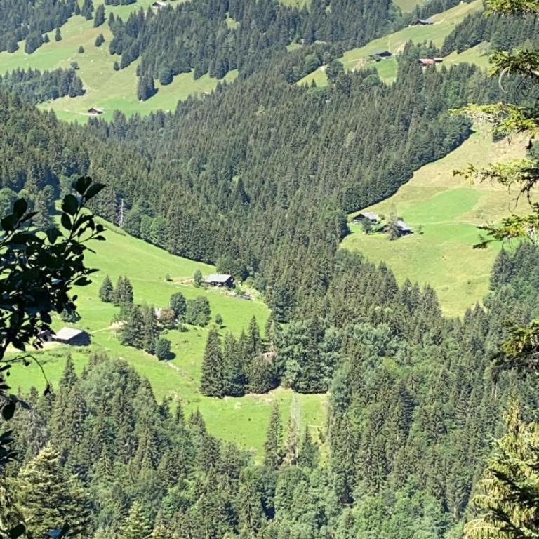 Val D’Illiez mountain apartment. - Apartment mit Blick auf die Berge - 44