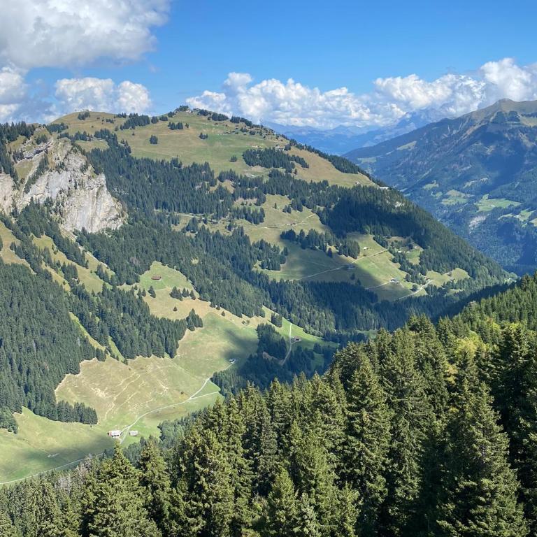 Val D’Illiez mountain apartment. - Apartment mit Blick auf die Berge - 45