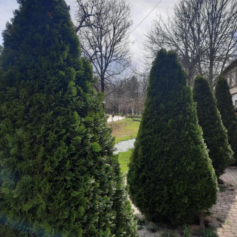 Apartman JELENA M Vrnjačka Banja - Studio Apartman - 16