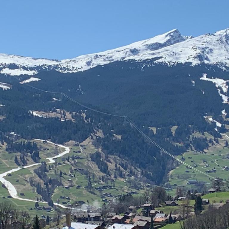 Grindelwald-Sunneblick - Appartamento con 2 Camere da Letto - 11