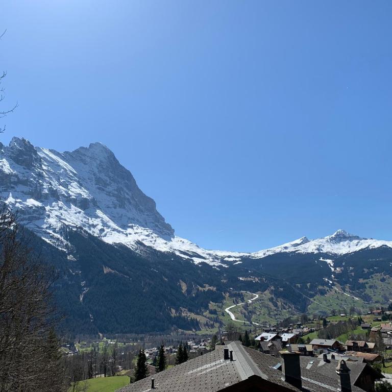 Grindelwald-Sunneblick - Appartamento con 2 Camere da Letto - 16
